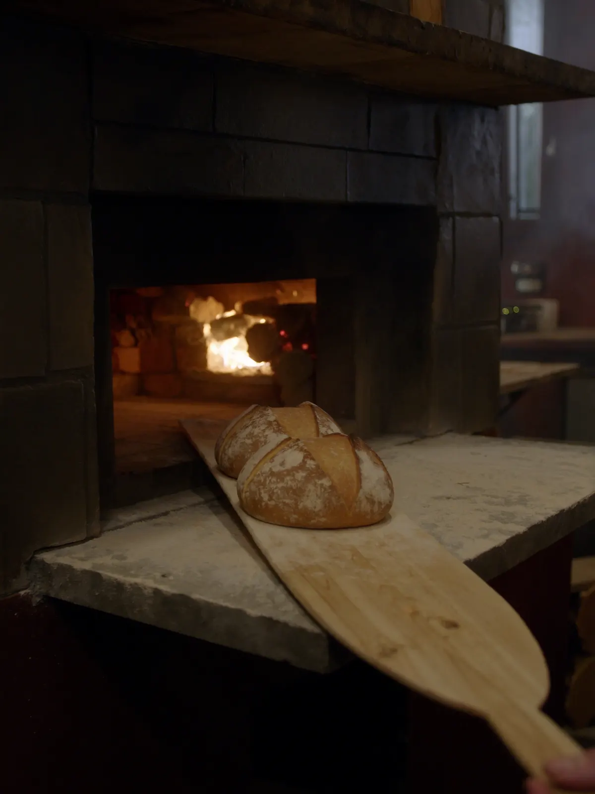 Twee ingesneden desembroden op een houten schieter, klaar om de gloeiende oven in te gaan